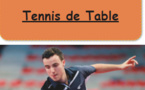 Stages Tennis de Table Eté